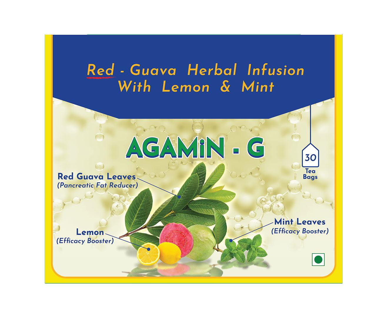 Aellam Agamin-G Herbal Infusion Dip-Tea