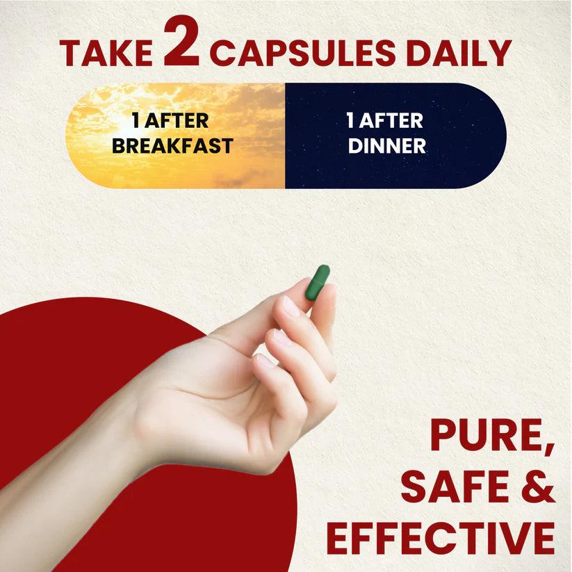 ZEROHARM Holo Piles Care - Natural Relief from Hemorrhoids - Helps Reducing Swelling - Nano Formulated 60 Capsules