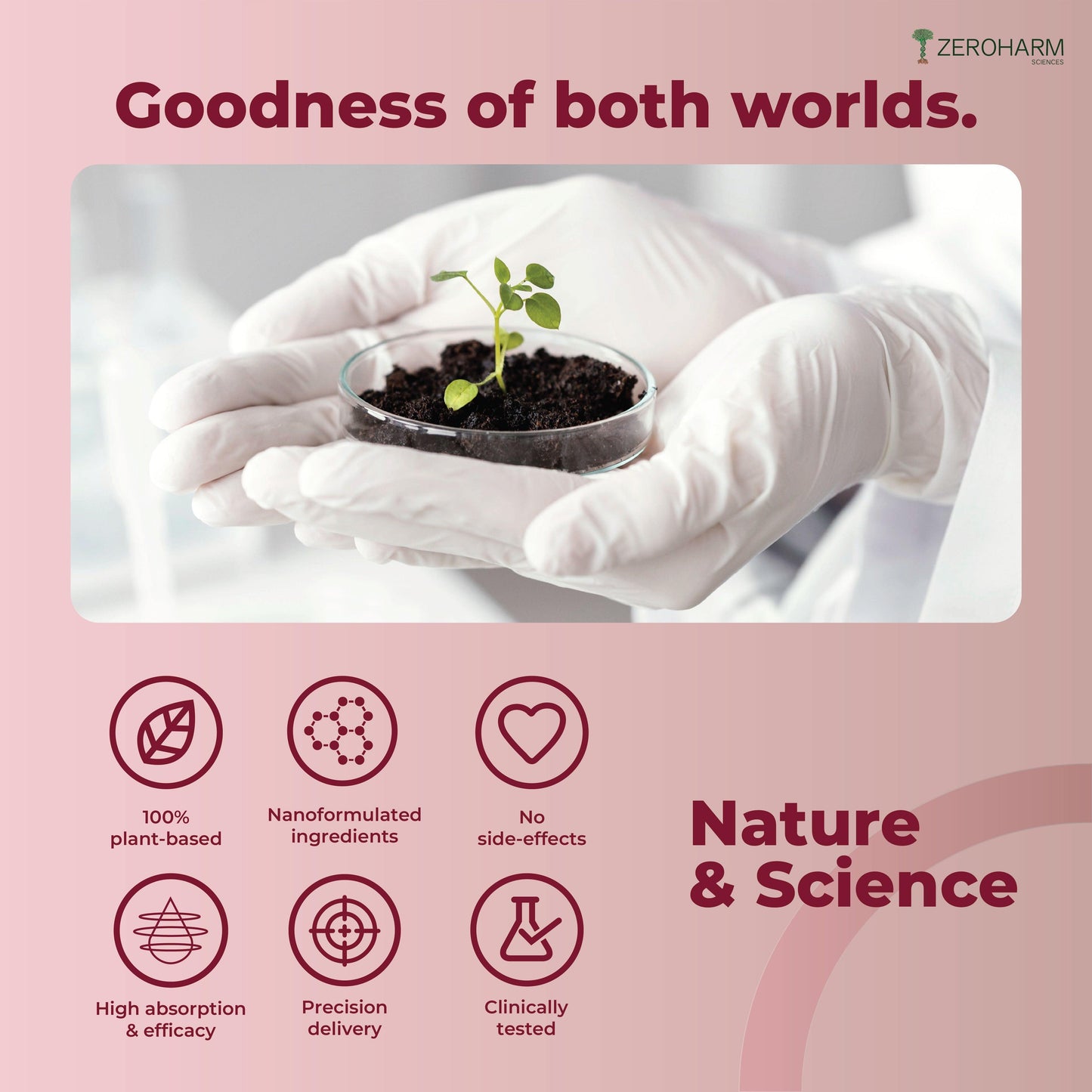 Zeroharm Sciences Holo UTI Nano Tablet - 60 Tablets