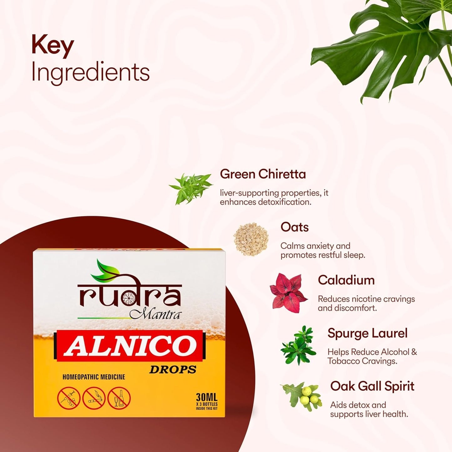 Rudra Mantra Alnico Drops - 30 ML x3 Bottles inside This Kit