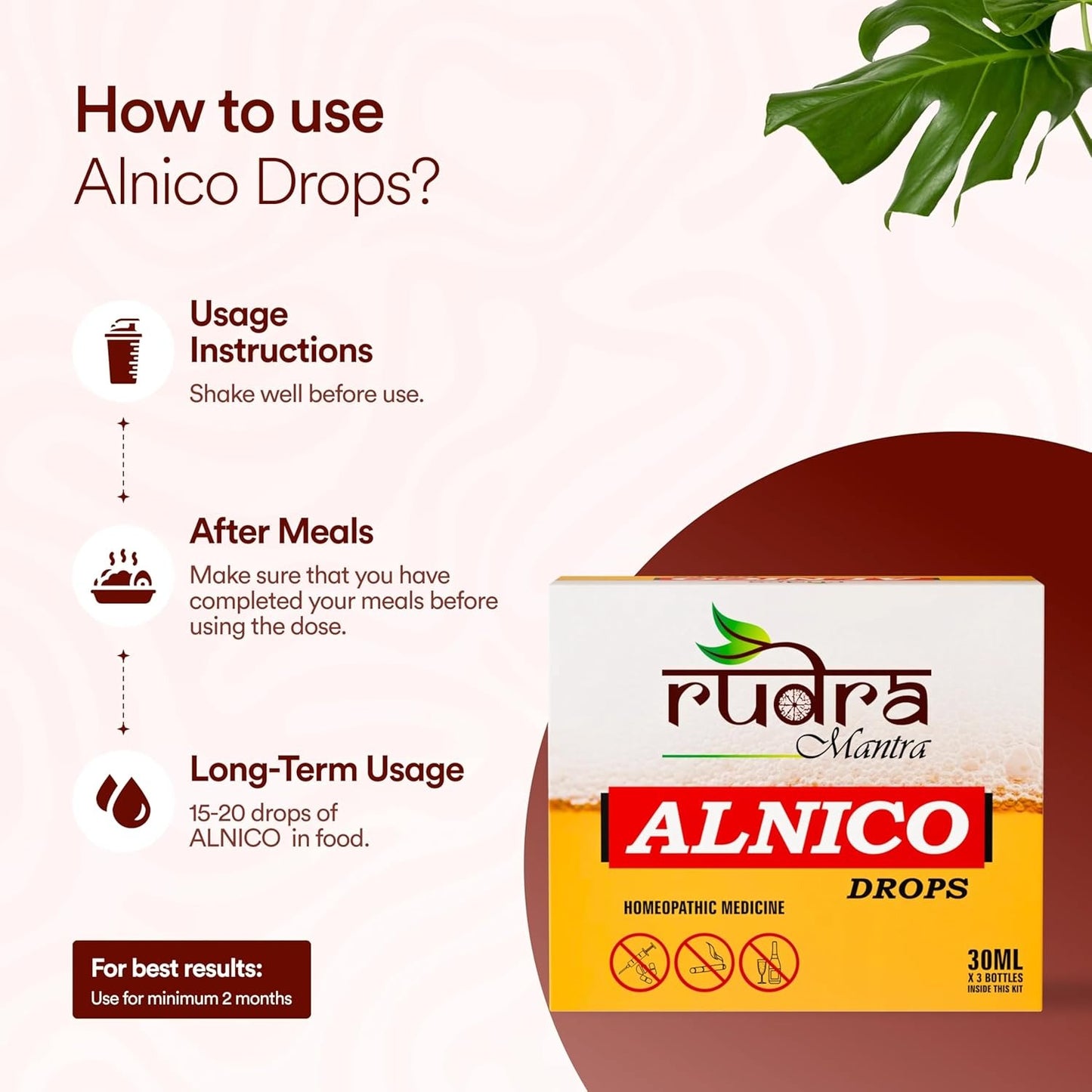 Rudra Mantra Alnico Drops - 30 ML x3 Bottles inside This Kit