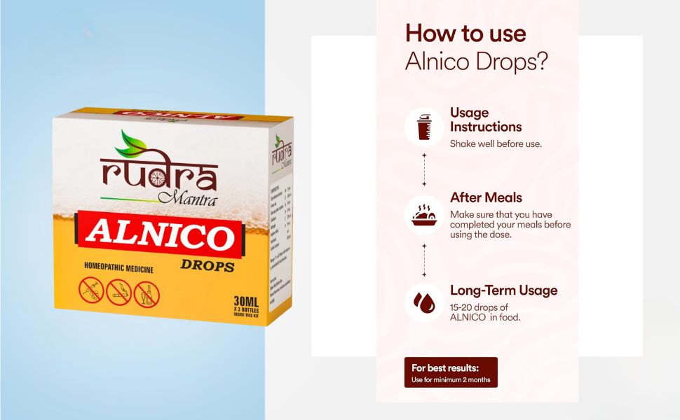 Rudra Mantra Alnico Drops - 30 ML x3 Bottles inside This Kit