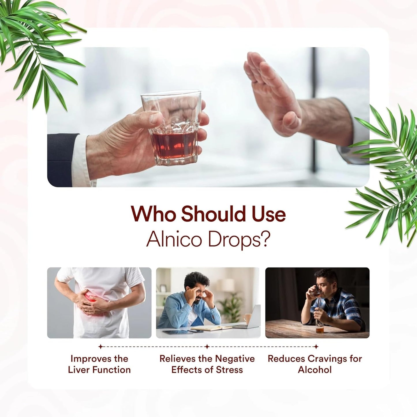 Rudra Mantra Alnico Drops - 30 ML x3 Bottles inside This Kit