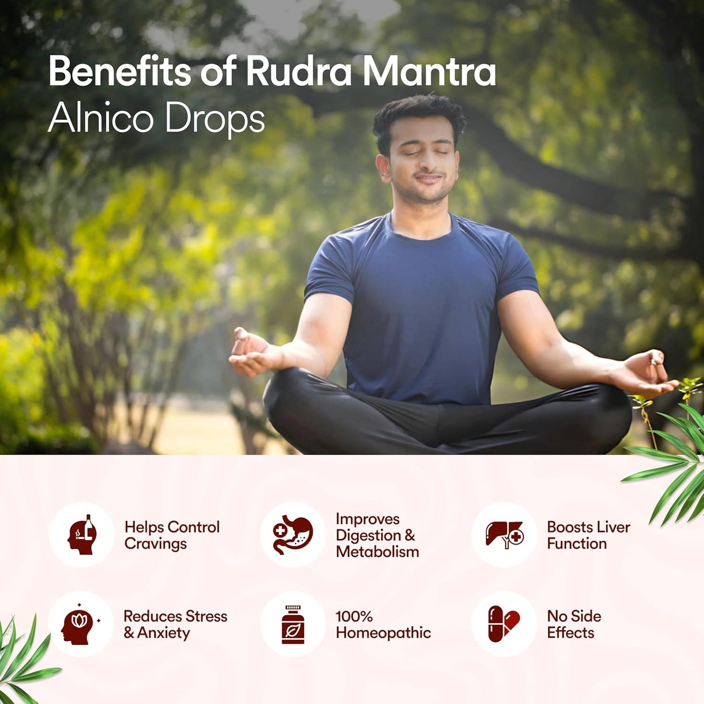 Rudra Mantra Alnico Drops - 30 ML x3 Bottles inside This Kit