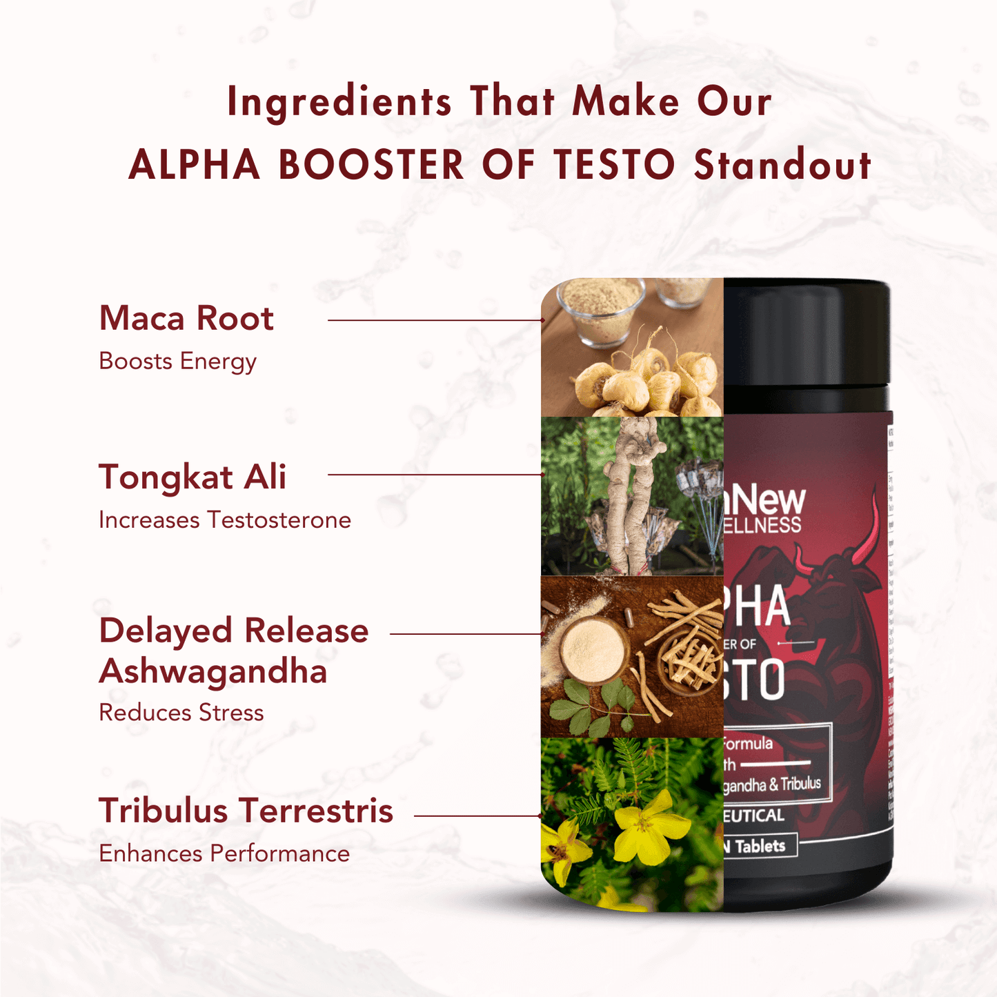 Wishnew Wellness Alpha Booster of Testo Tablet