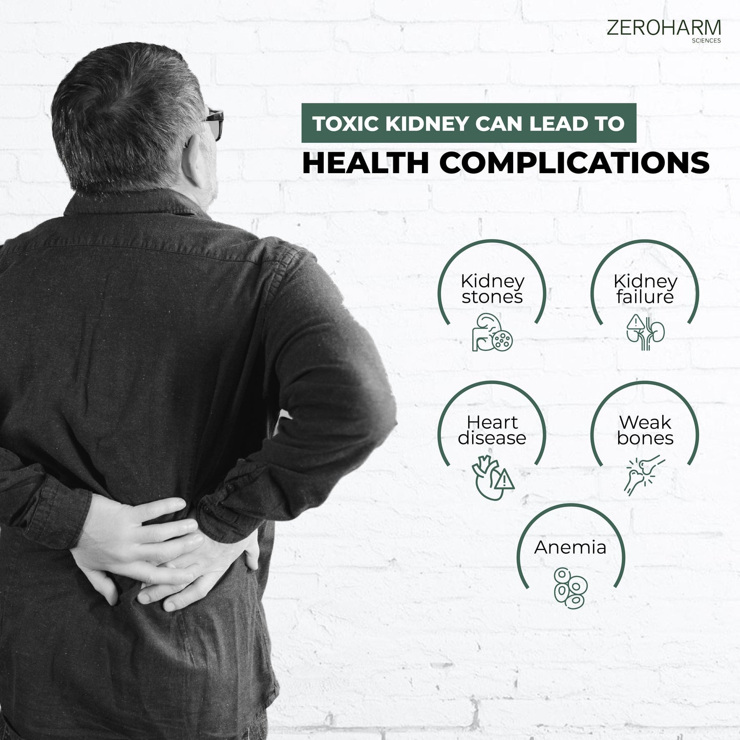 Zeroharm Holo Kidney Detox Tablet