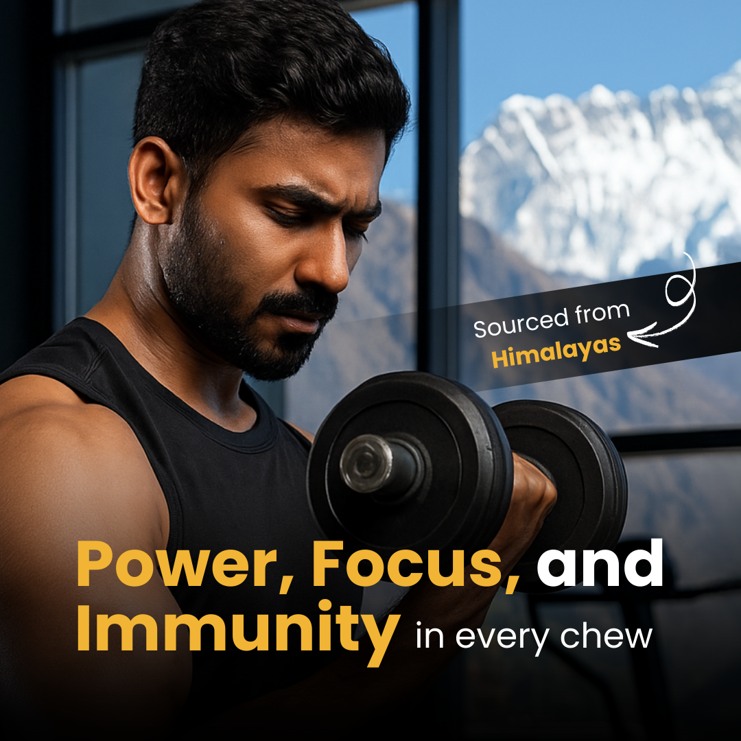 Amocare Shilajit Gummies - 30 Gummies