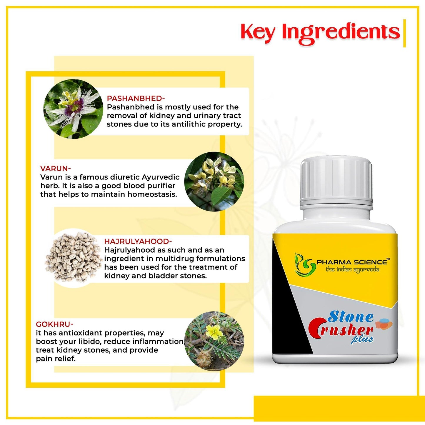 Pharma Science Stone Crusher Plus for Kidney Stone - 15gm