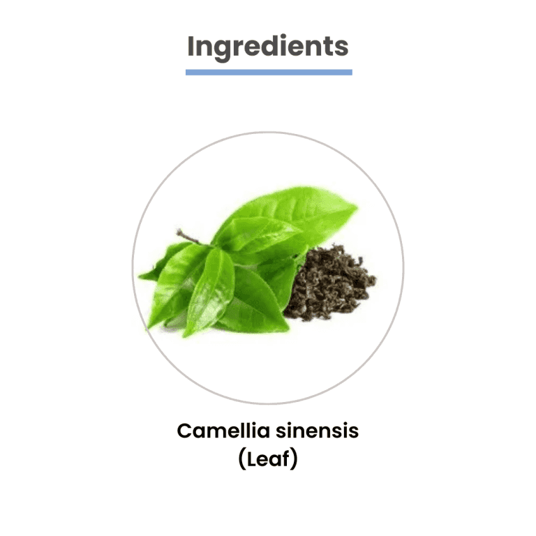 MediZen Green Tea Extract Tablet - 60 Tablets