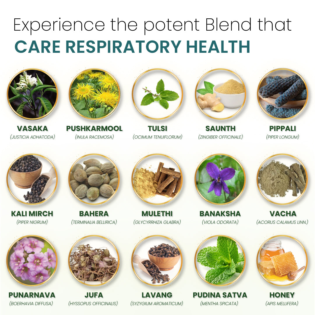 Cannarma Cough Syrup | Provides relief from Cold, Cough, Sore Throat, Congestion and Throat Irritation Syrup