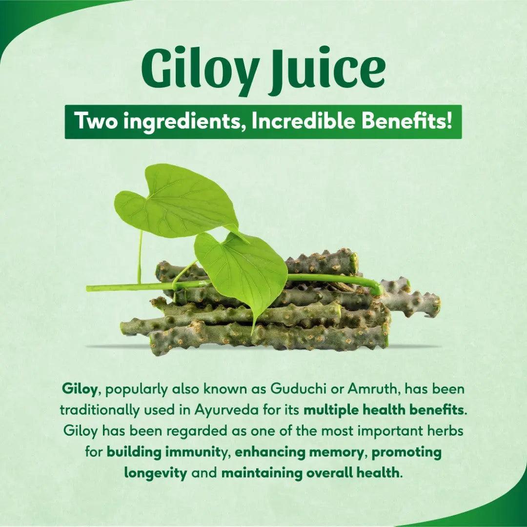 Sri Sri Tattva Giloy Juice