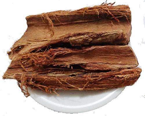 YUVIKA Ashoka Chilka Asli - Saraca asoca