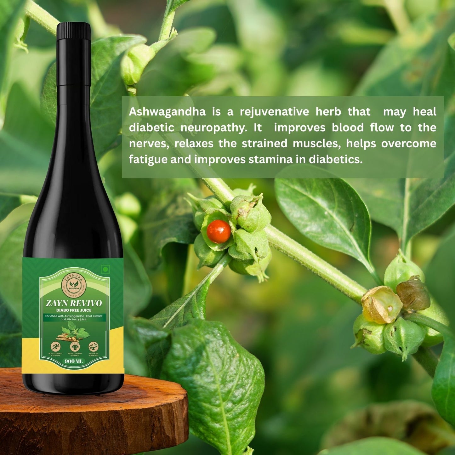 Zayn Revivo Diabo Free Juice | Ayurvedic Juice for Blood Sugar Balance & Diabetic Neuropathy | With Gudmar, Karela, Jamun, Ashwagandha | Mix Berry Flavour | 900 ml