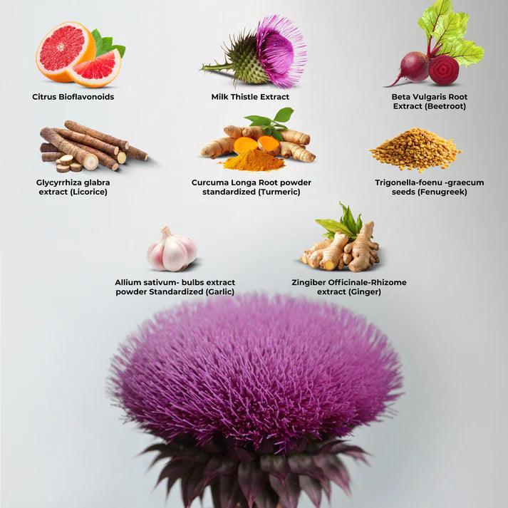 Health Veda Organics Milk Thistle Extract Tablet - 60 Tablets