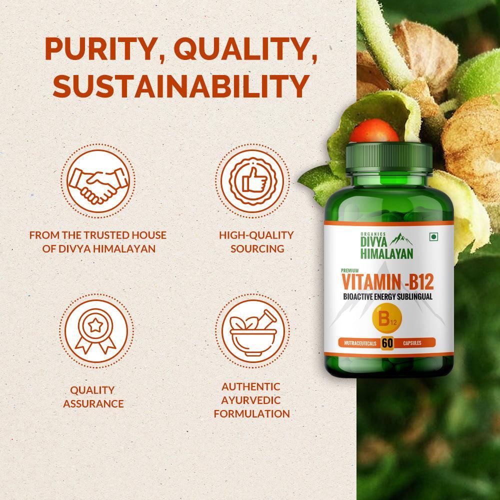 Divya Himalayan Vitamin B12 Capsule - 60 Capsules (Pack of 2)