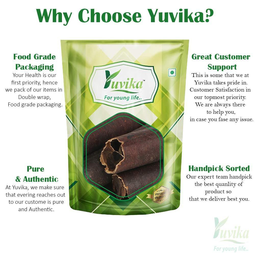 YUVIKA Amaltas Phali - fali Amaltas - Cassia Fistula