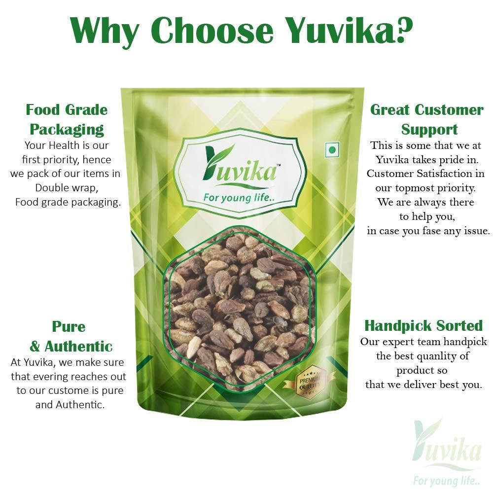 YUVIKA Beej Shivlangi - Shivlingi - Bryonopsis laciniosa