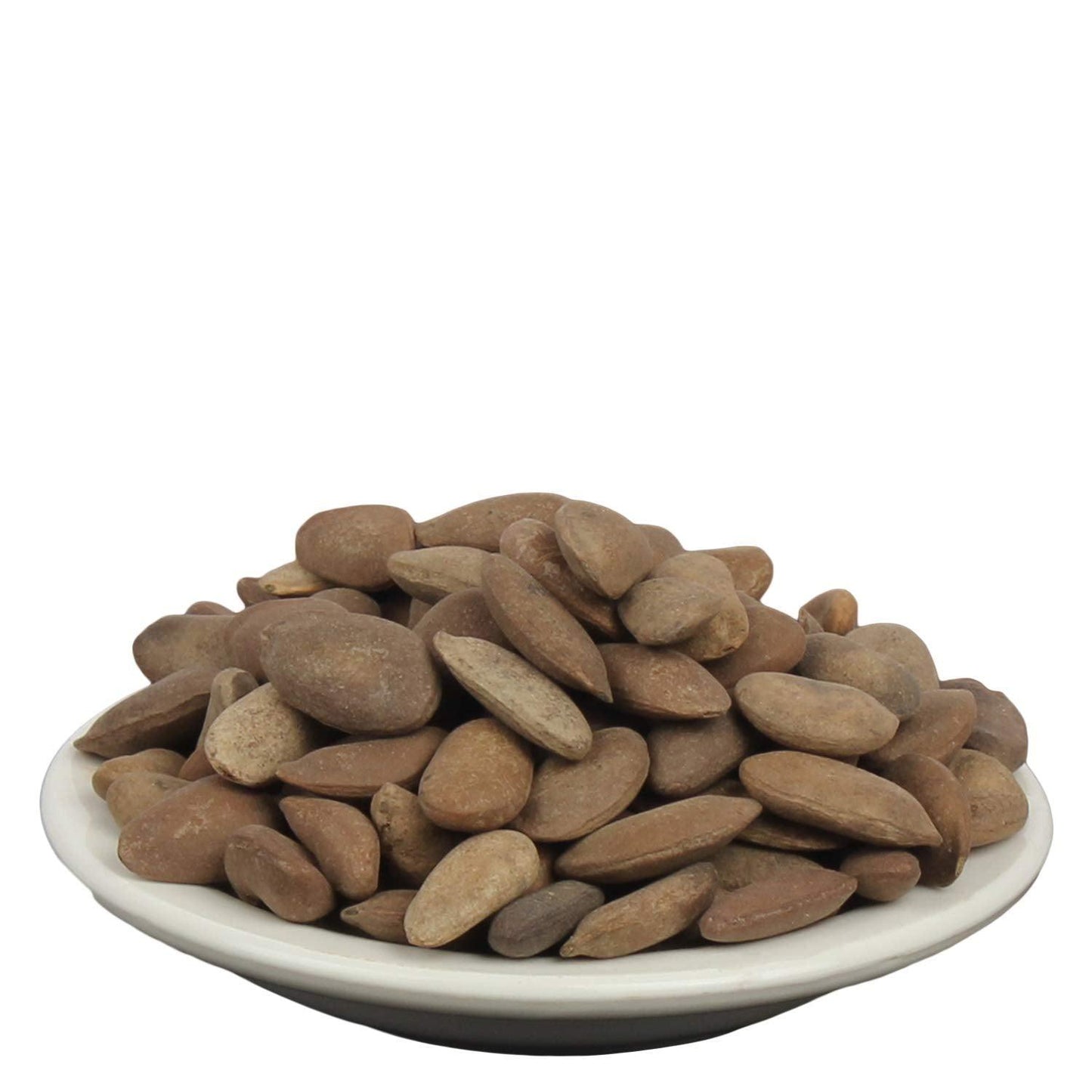 YUVIKA Beej Kanchan - Michelia Champaca