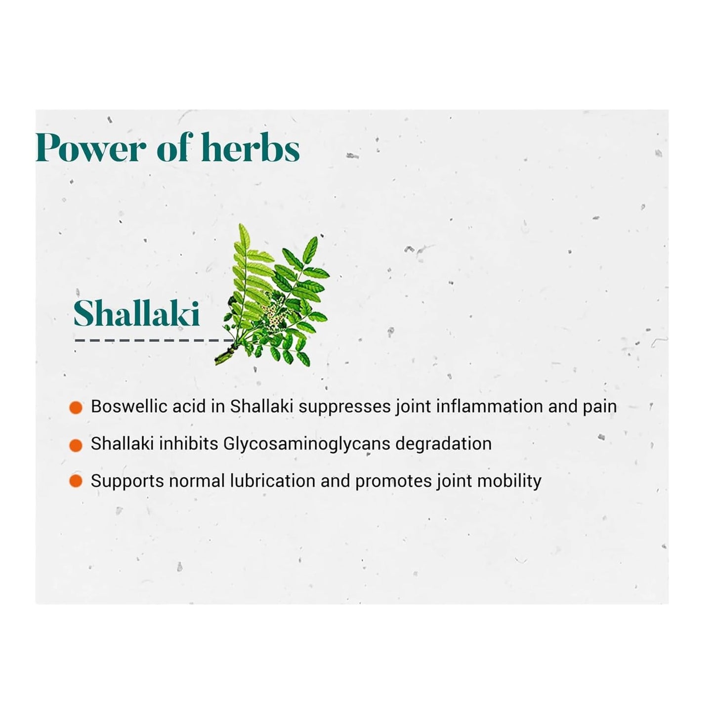 Himalaya Shallaki Tablet Bone & Joint Wellness