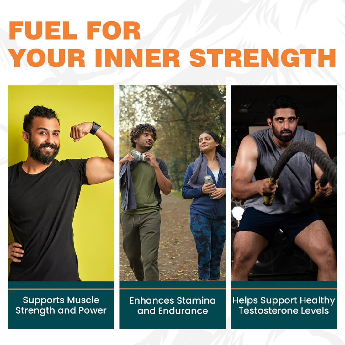 Himalaya Shilajit Capsule - 60 Capsules