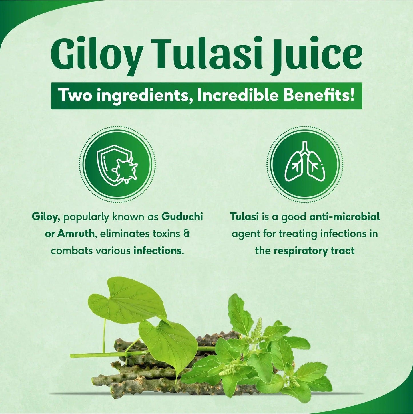 Sri Sri Tattva Giloy Tulasi Juice