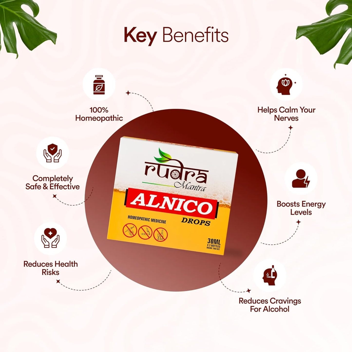 Rudra Mantra Alnico Drops - 30 ML x3 Bottles inside This Kit