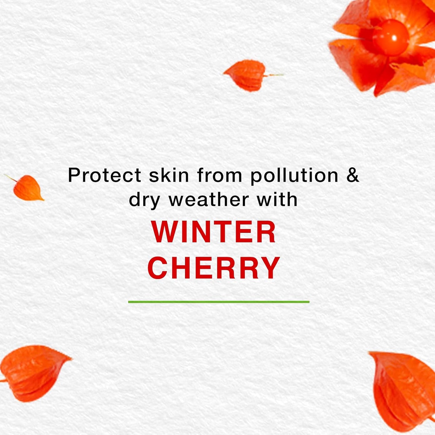 Himalaya Nourishing Skin Cream | Lightweight & Non-Greasy - 50gm