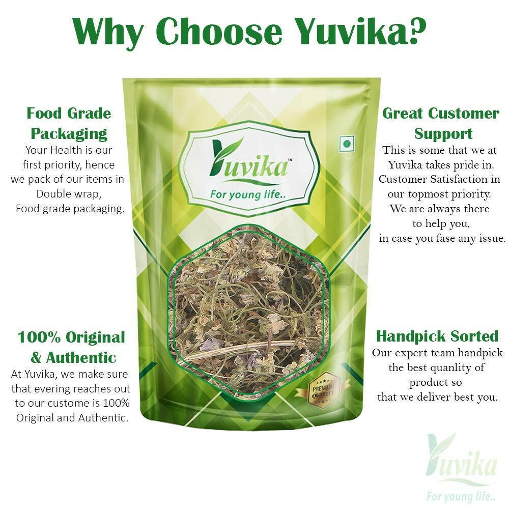 Yuvika Gulbanafsha Spl - Gul Banpsa - Viola Odorata - Sweet Violet