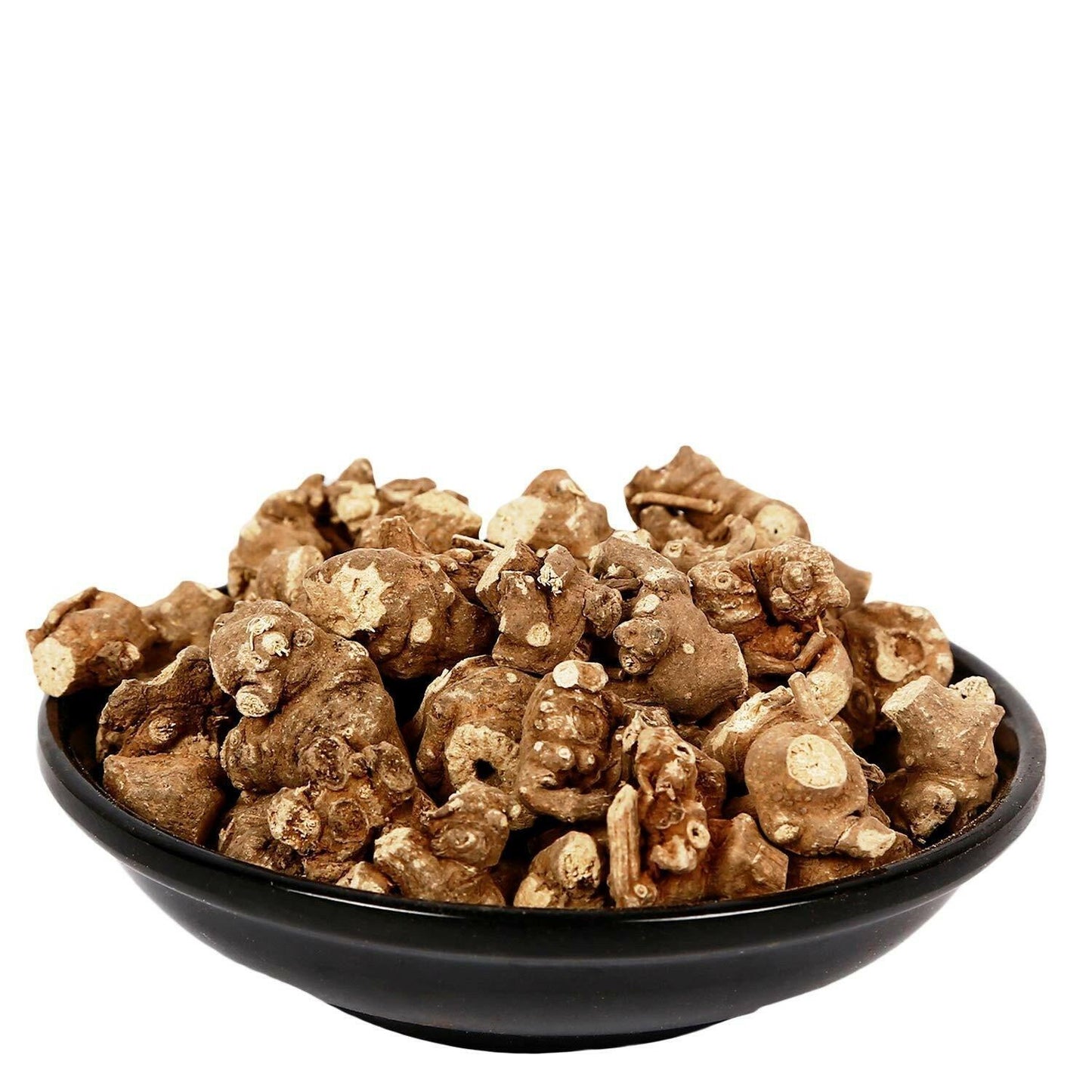 YUVIKA Pipla Mool Mota - Piplamool Mota - Peepla Mool