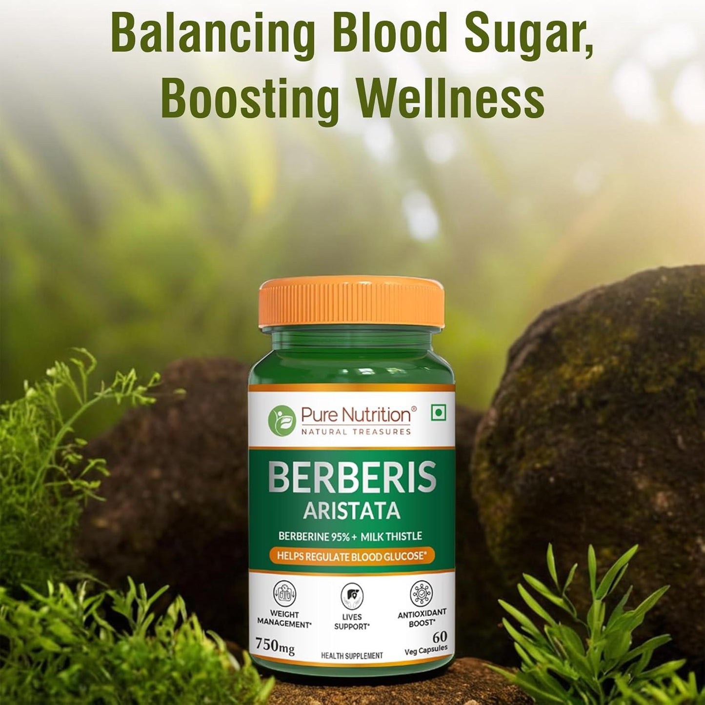 Pure Nutrition Berberis Aristata Capsules Supplement - 60 Veg Capsules