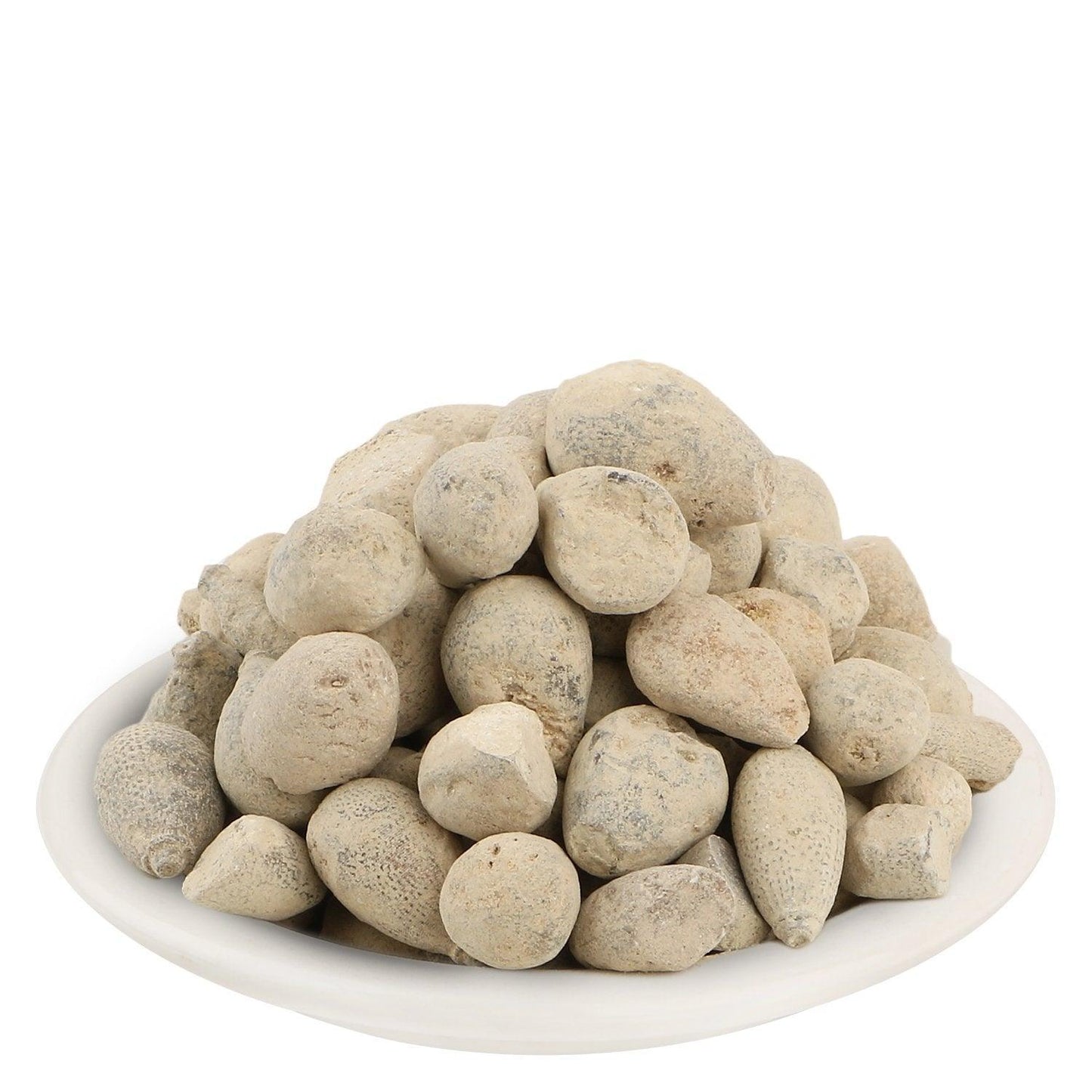 YUVIKA Ber Pathar - Hajrul Yahood - Sange Yahood - Bhasma Badarashma - Fossil Encrinite (800 Grams)