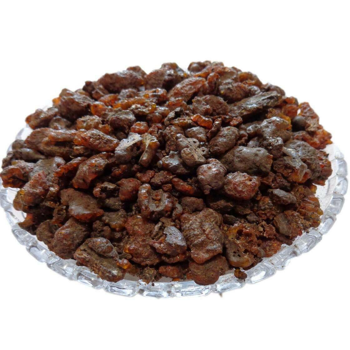 YUVIKA Lakh Pipal - Ficus Religiosa - Shellac Lac - Holy Fig Tree