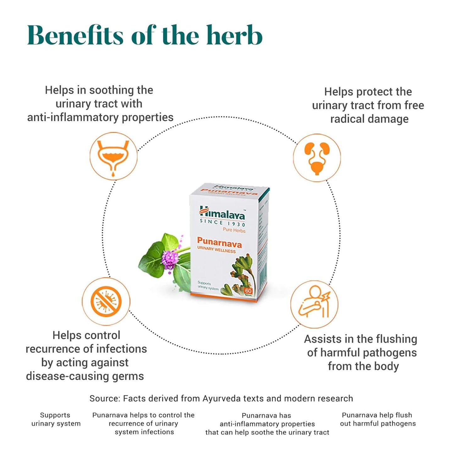 Himalaya Punarnava Tablet