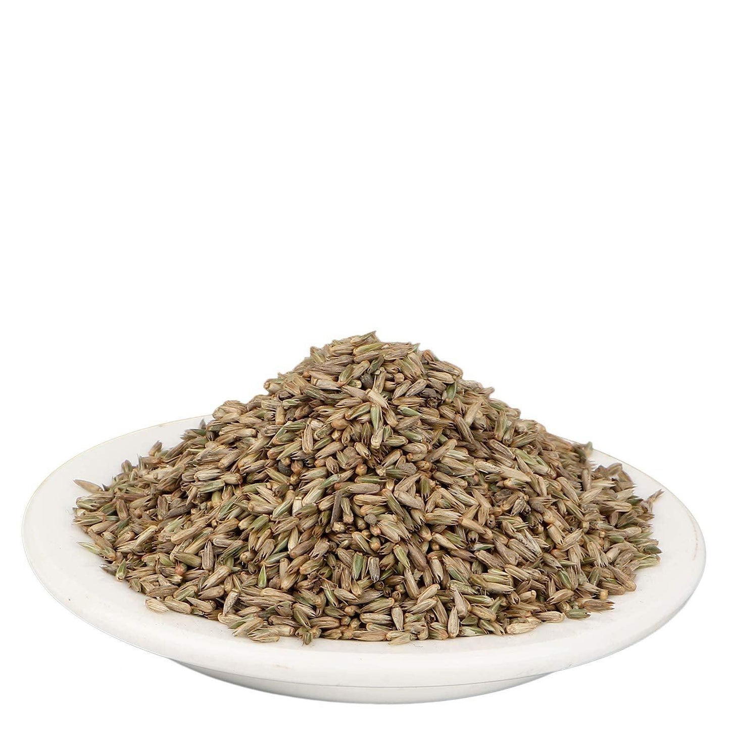 YUVIKA Apamarg Seeds - Apoot Kanta - Uttareni Seeds - Latrija Beej - Chirchita ka Beej