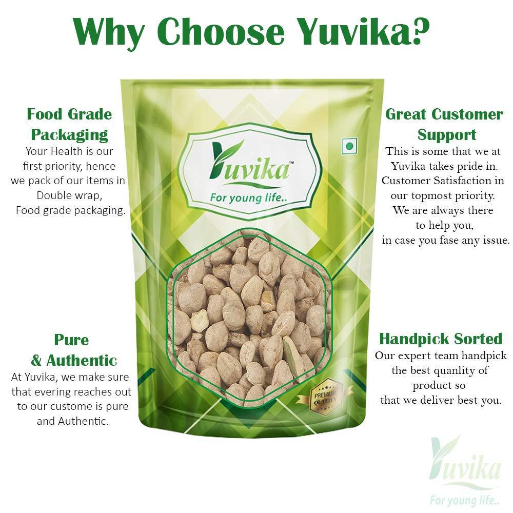 YUVIKA Beej Sohjana - Morniga Oleifera - Moringa Seeds (800 Grams)