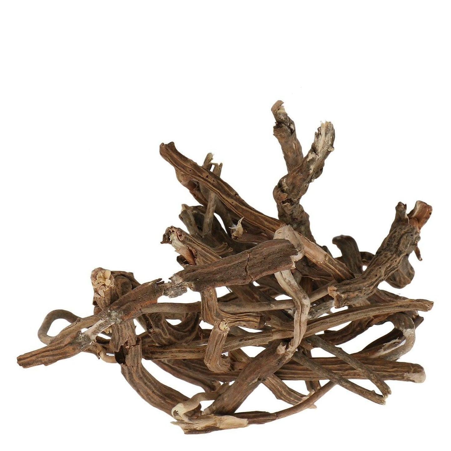 YUVIKA Ushva - Smilax Medica