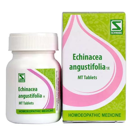 Dr Willmar Schwabe India Echinacea Angustifolia Tablet 1X - 20gm - pack of 2