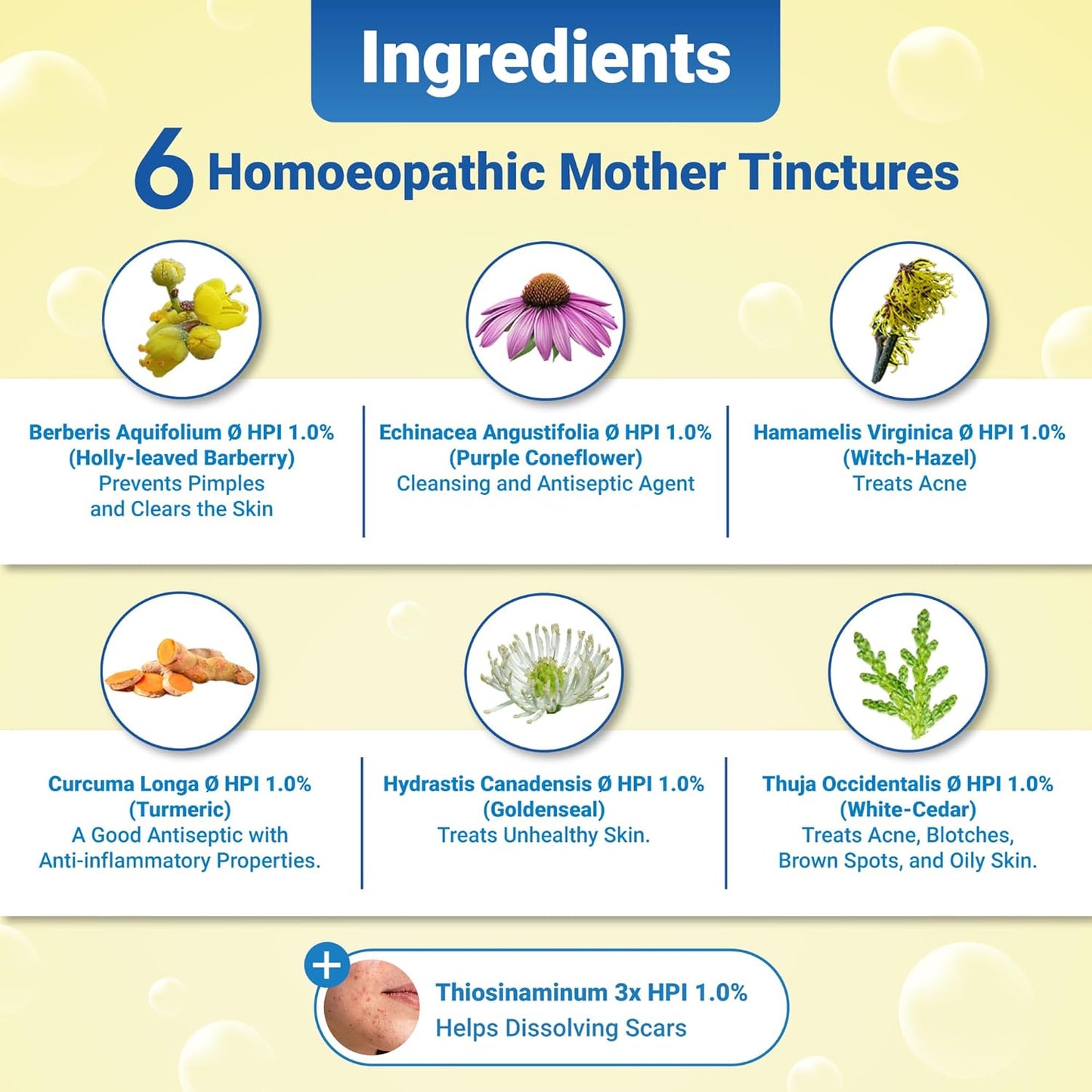 Medisynth Aquifolium Ultra Cleanser - 200ml