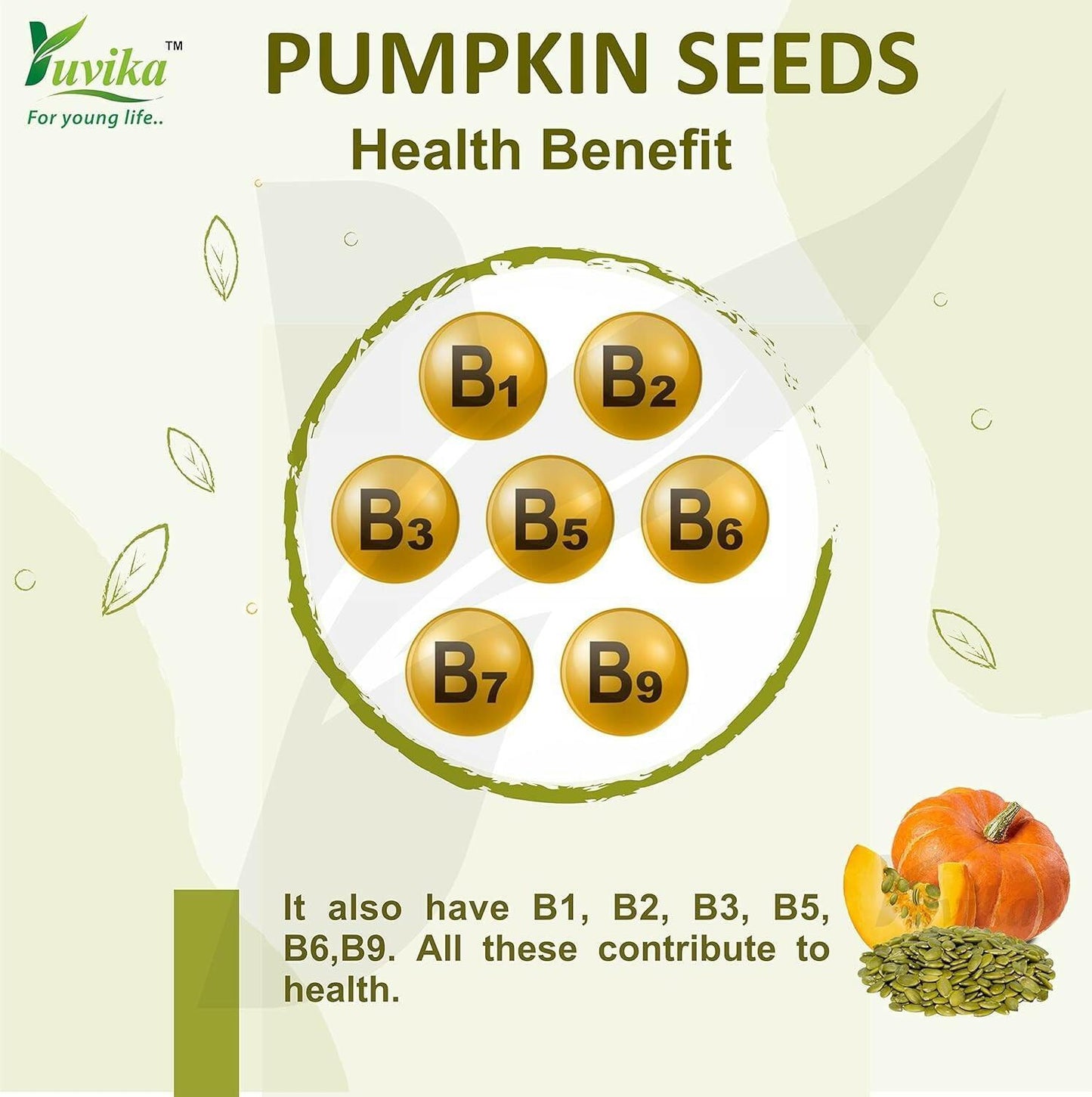 Yuvika Pumpkin Seeds - Magaz Sitaphal (Imported Seeds)