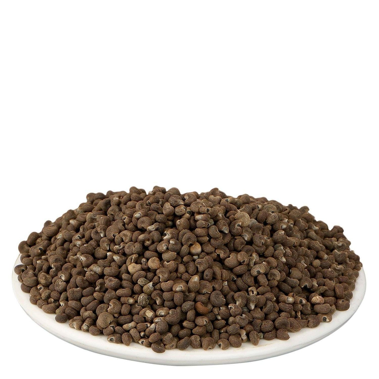 YUVIKA Mushk Dana - Mooshk Dana - Abelmoschus Moschatus - Ambrette Seeds