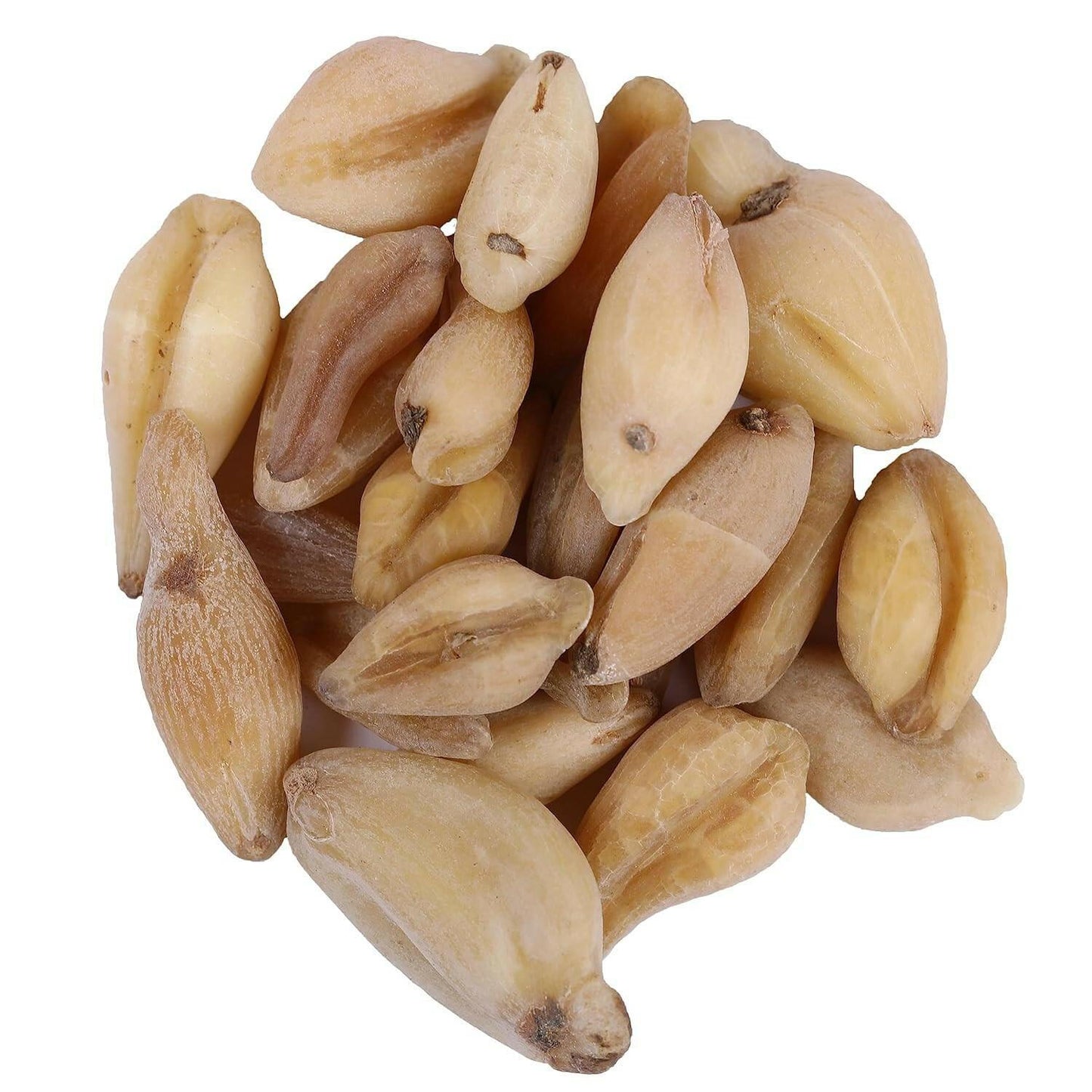 Yuvika Suranjaan Kadvi - Suranjan Bitter