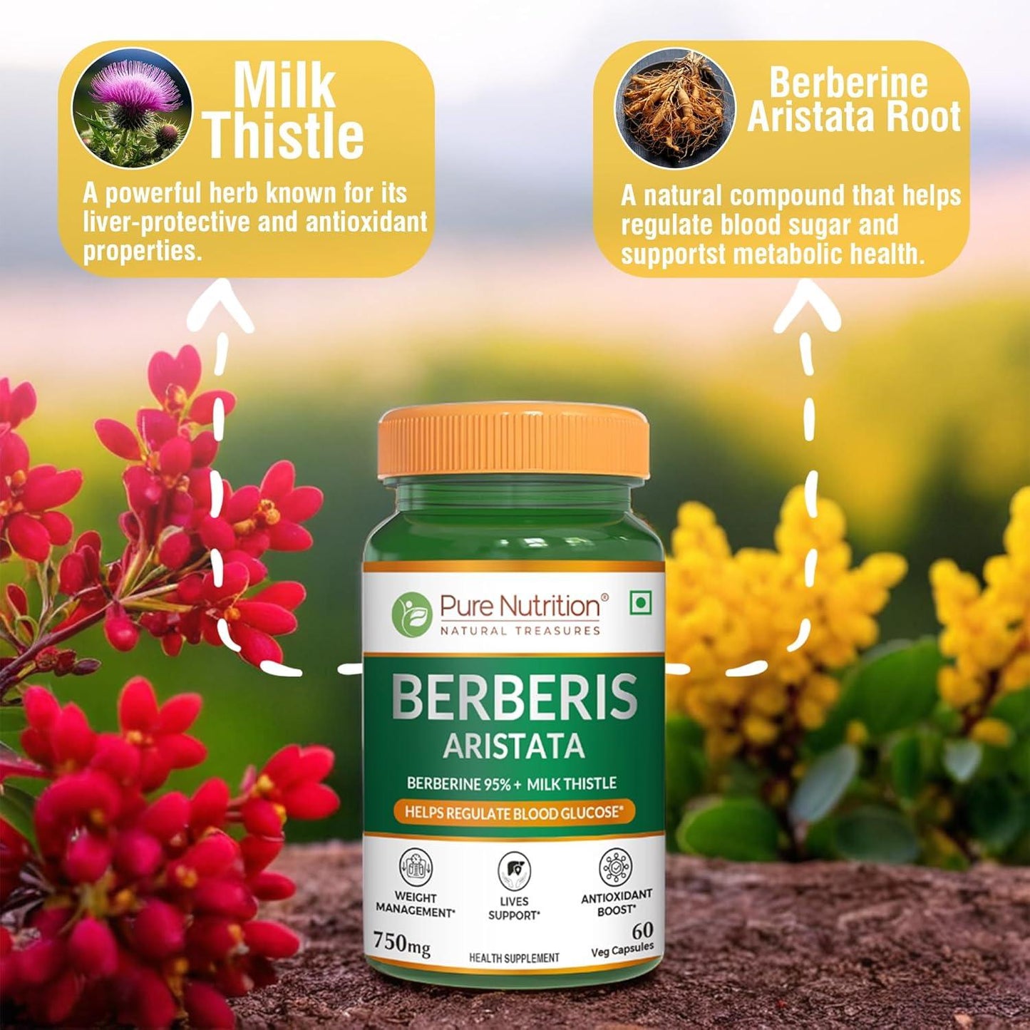 Pure Nutrition Berberis Aristata Capsules Supplement - 60 Veg Capsules