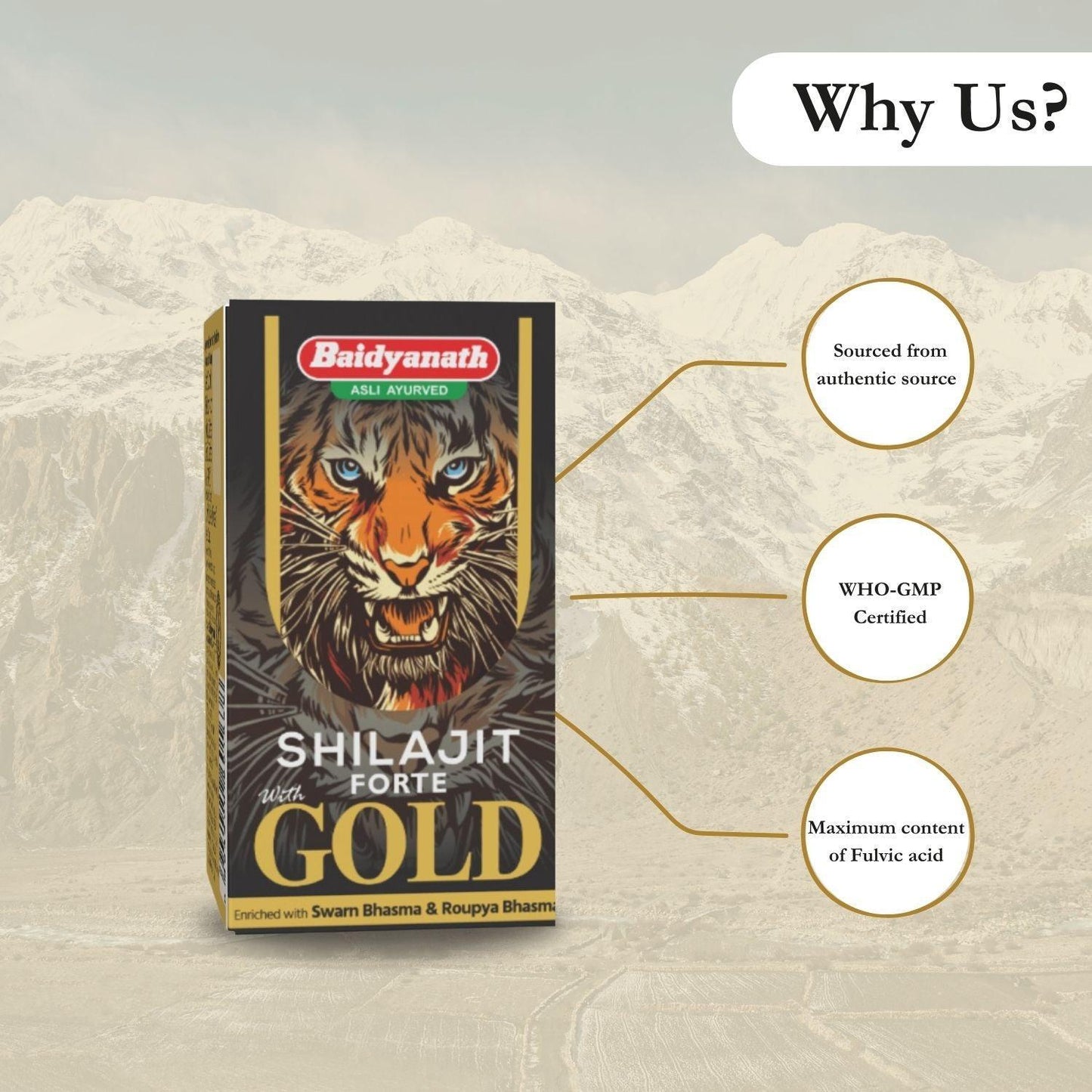 Baidyanath Jhansi Shilajit Forte With Gold