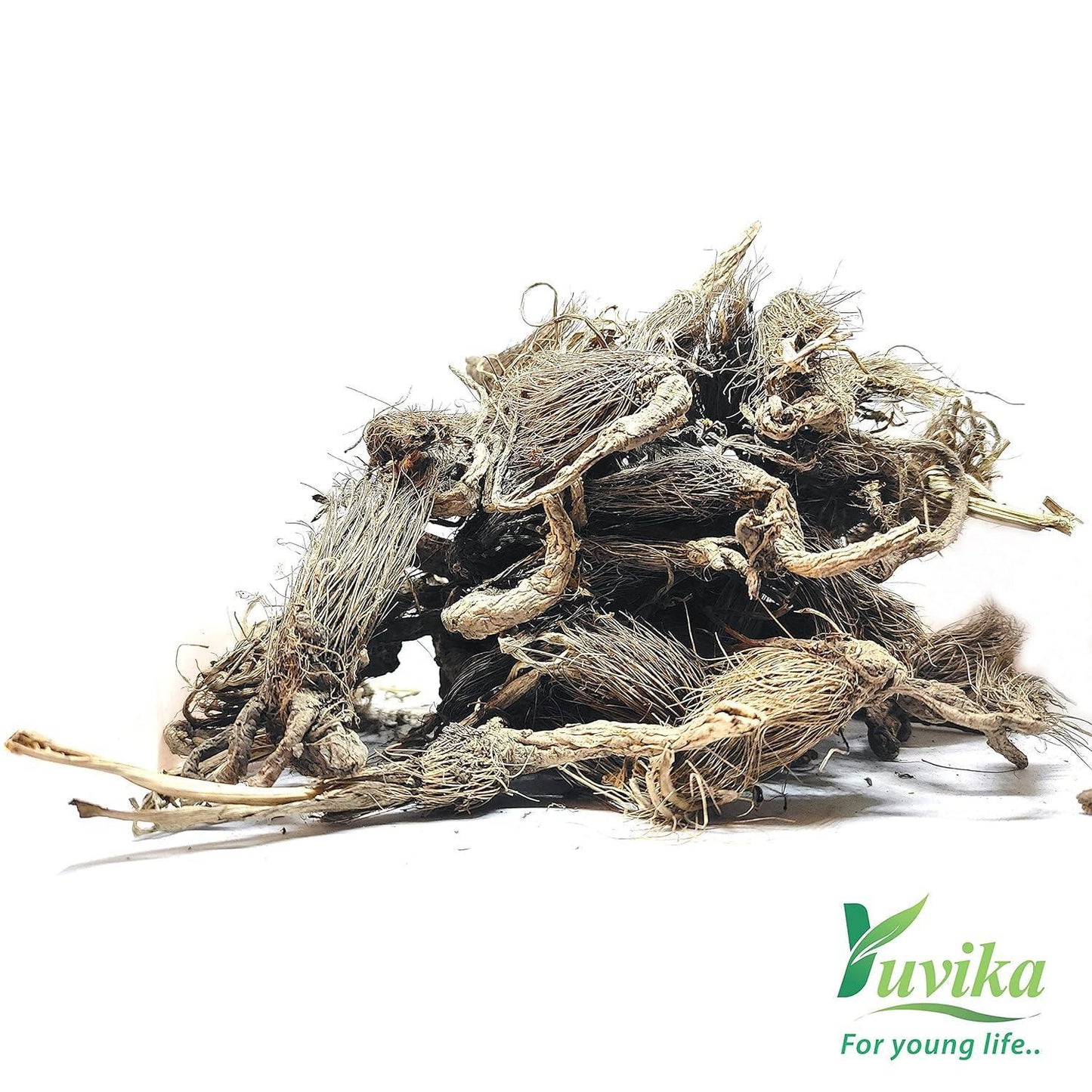 YUVIKA Beg Karfas - Beg Karphas