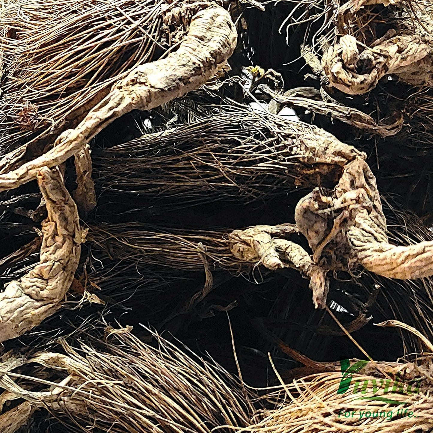 YUVIKA Beg Karfas - Beg Karphas