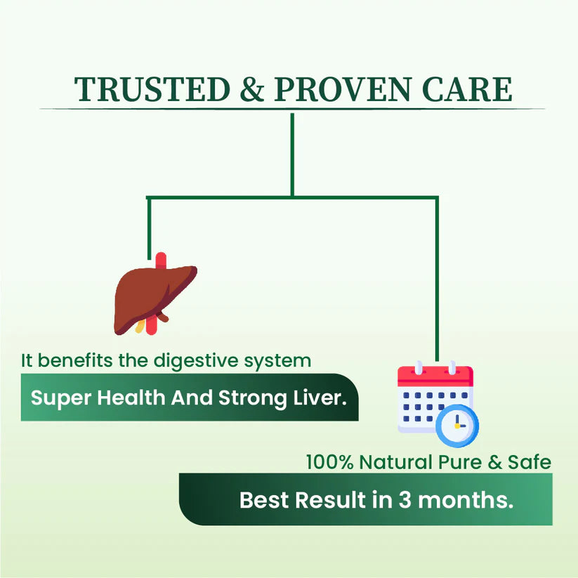 Cipzer Araq-E-Mako - 500ml | Natural Liver Detox, Blood Purifier & Herbal Digestive Health Tonic