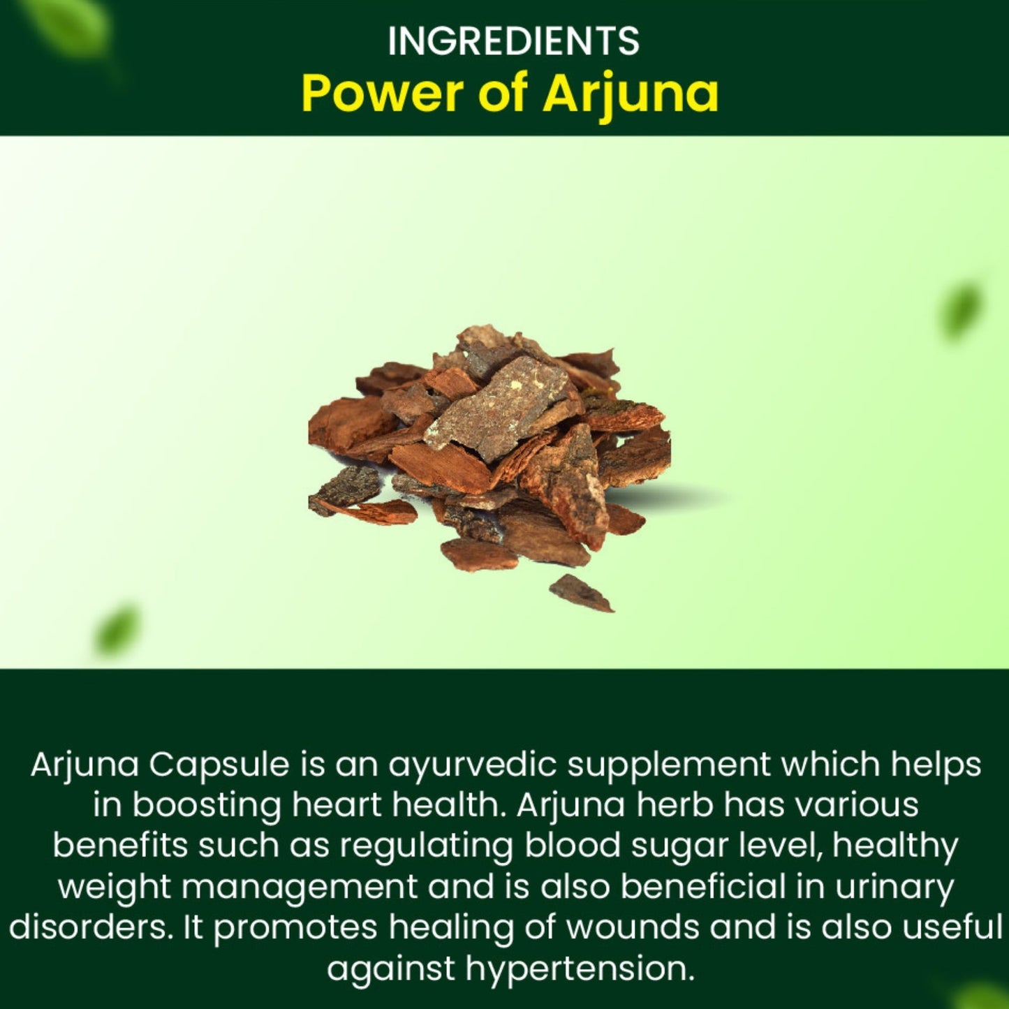 Cipzer Arjuna Capsules | Heart Health, Blood Pressure Control, Cholesterol Balance & Cardiac Wellness