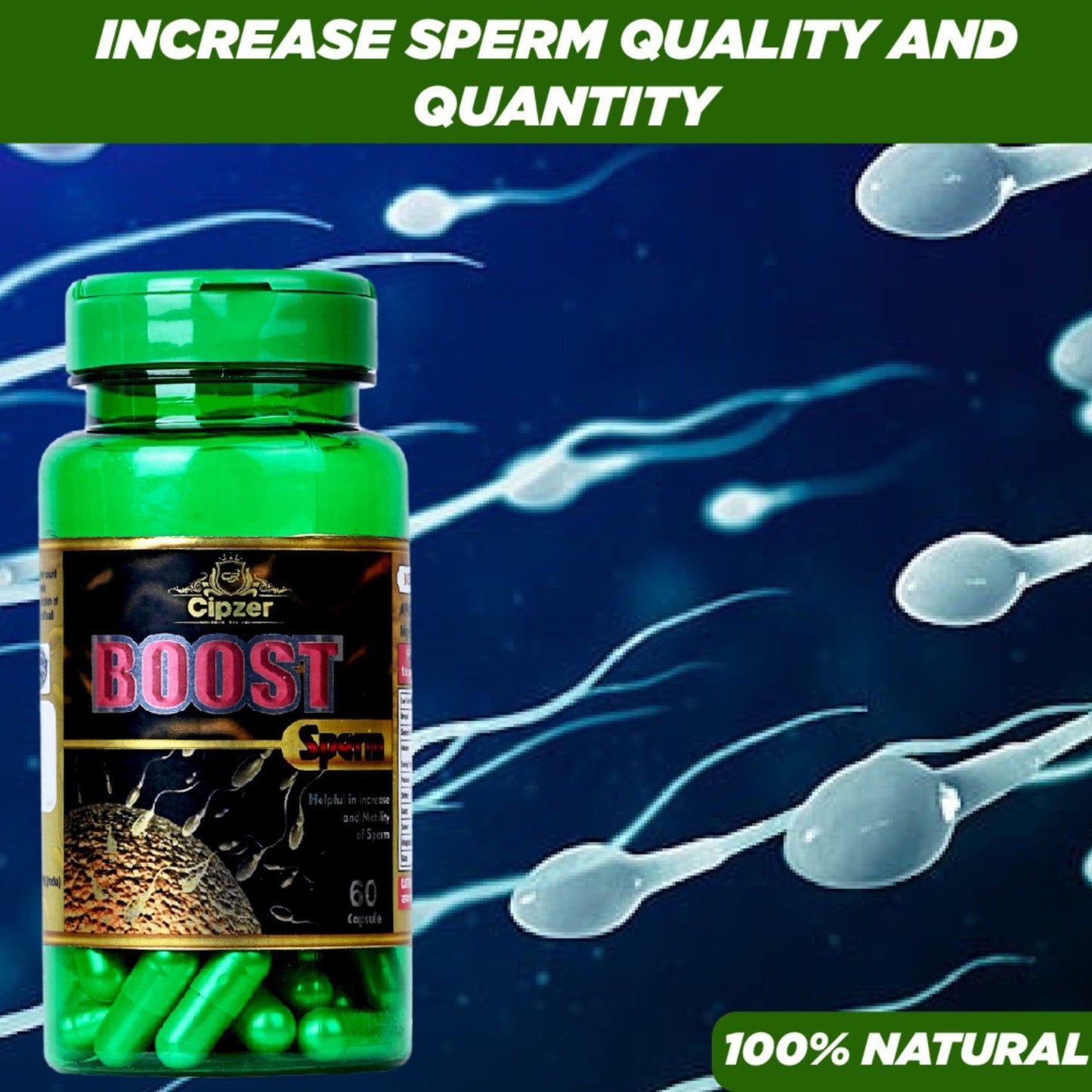 Cipzer Boost Sperm Capsule - 60 Capsules | Useful In Increasing The Sperm Count & Sperm Quality