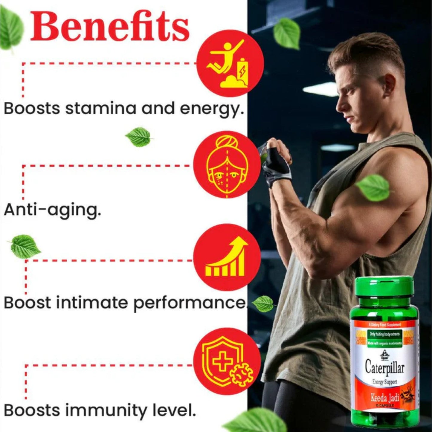 Cipzer Caterpillar Keeda Jadi 10 Capsules | Natural Energy, Stamina, Immunity & Strength Enhancer