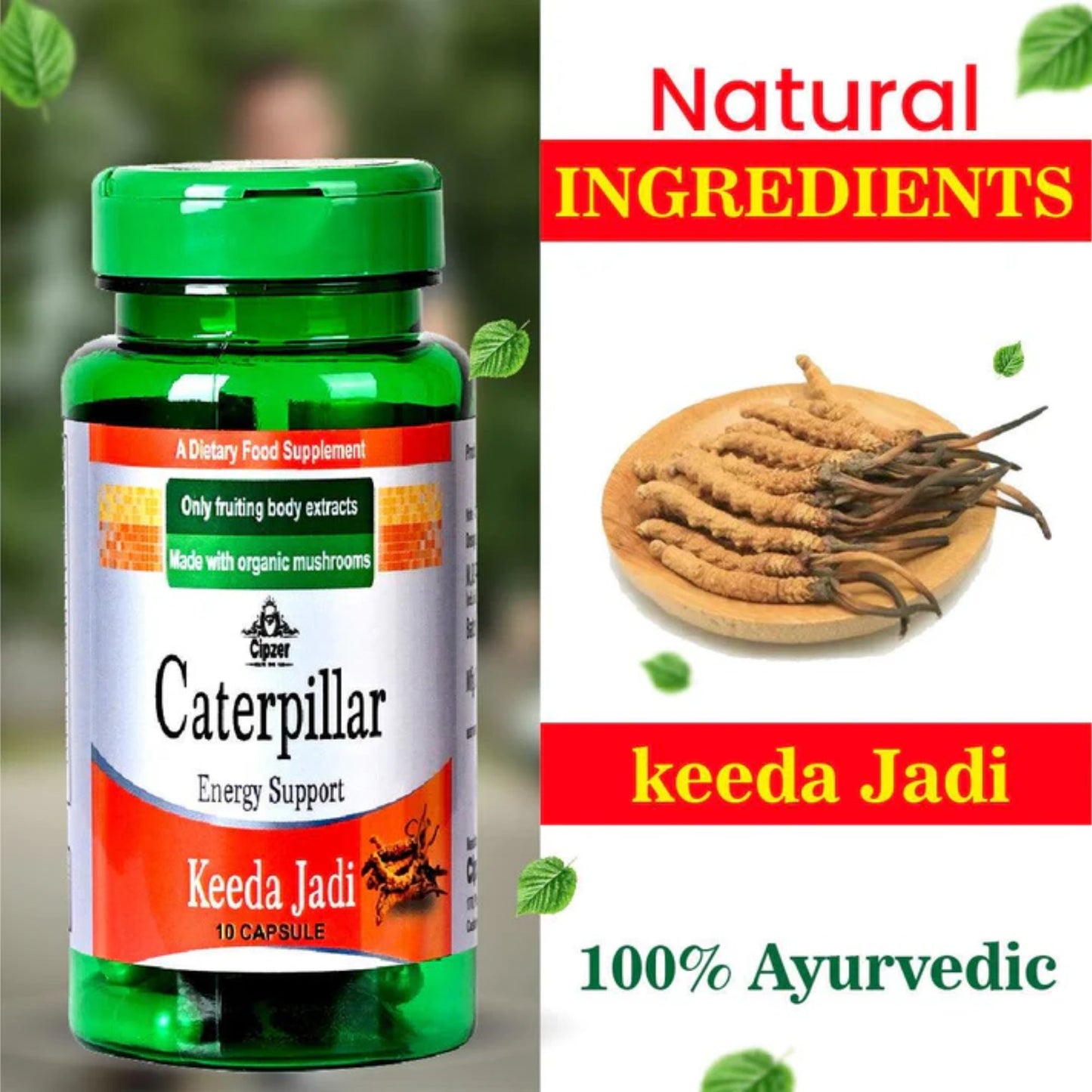 Cipzer Caterpillar Keeda Jadi 10 Capsules | Natural Energy, Stamina, Immunity & Strength Enhancer